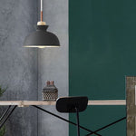 1 - Light Modern Dome Pendant Light - LightfixturesUAE