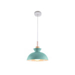 1 - Light Modern Dome Pendant Light - LightfixturesUAE