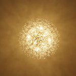 16 - Light Dandelion Crystal Firework Sputnik Chandelier - LightfixturesUAE