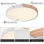 Dimmable With Romote Control LED Round Flush Mount Ceiling Light - LightfixturesUAE