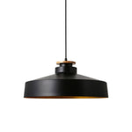 LightfixturesUAE-1-Light Nordic Minimalism White Wooden-Color Iron Conical-Shaped Pendant Light-Pendant Lights-Black-