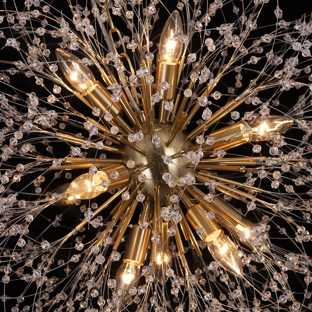 LightfixturesUAE-12-Light Romantic Luxury Dandelion-Shaped Chandelier with Sparkling Crystals-Chandeliers-Brass-