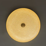 Modern Brushed Metal Acrylic LED Ceiling Light - LightfixturesUAE