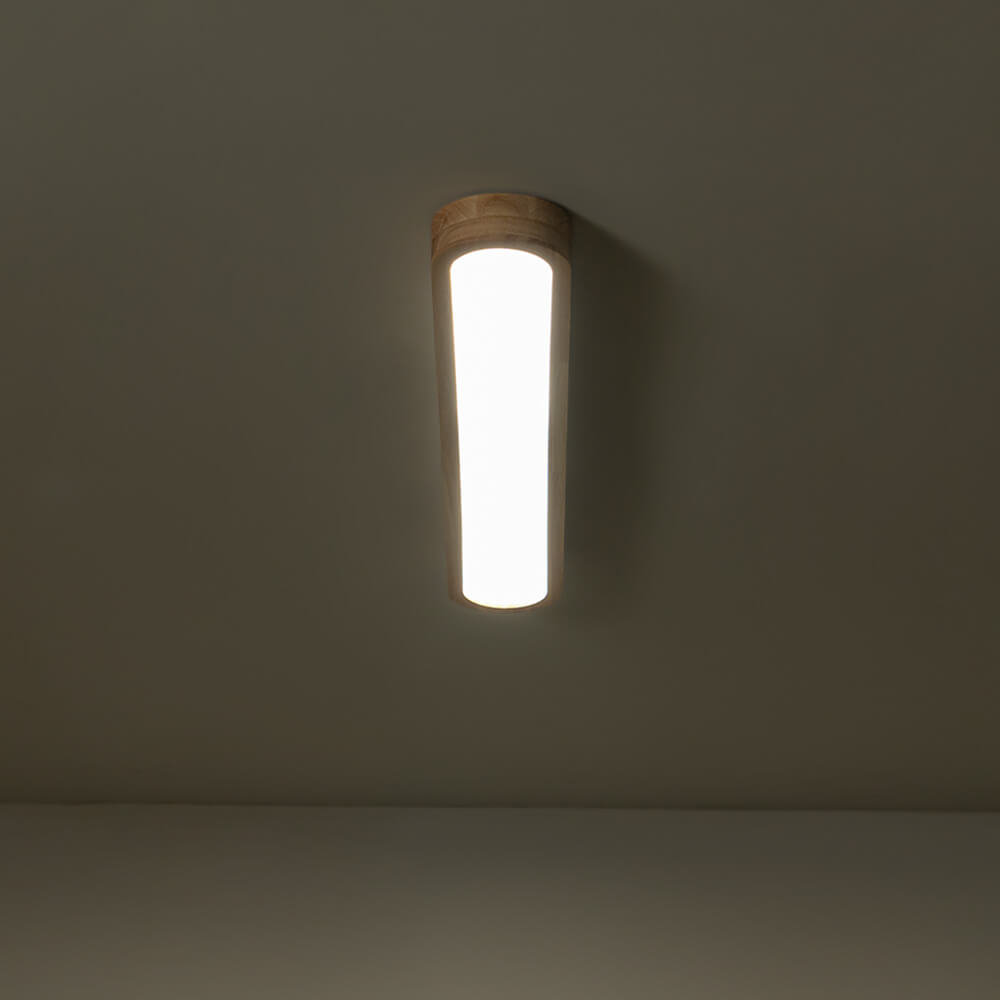 Modern Dimmable Long Oval LED Ceiling Light - LightfixturesUAE
