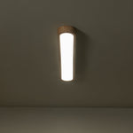 Modern Dimmable Long Oval LED Ceiling Light - LightfixturesUAE