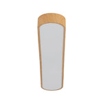 Modern Rectangular LED Flush Mount - LightfixturesUAE
