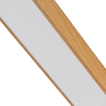 Modern Rectangular LED Flush Mount - LightfixturesUAE