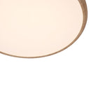 Modern Round LED Acrylic Ceiling Light - LightfixturesUAE