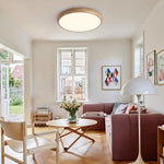 Modern Round LED Acrylic Ceiling Light - LightfixturesUAE