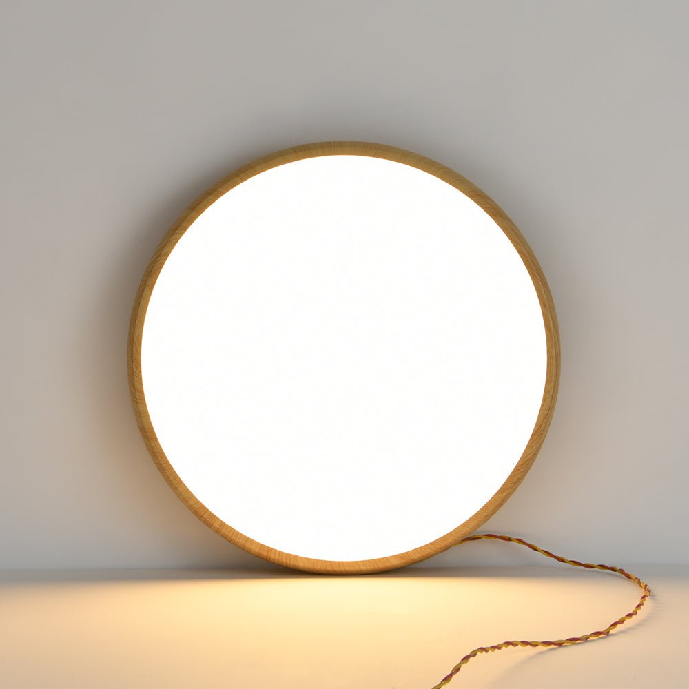 Modern Round LED Flush Mount Ceiling Light - LightfixturesUAE
