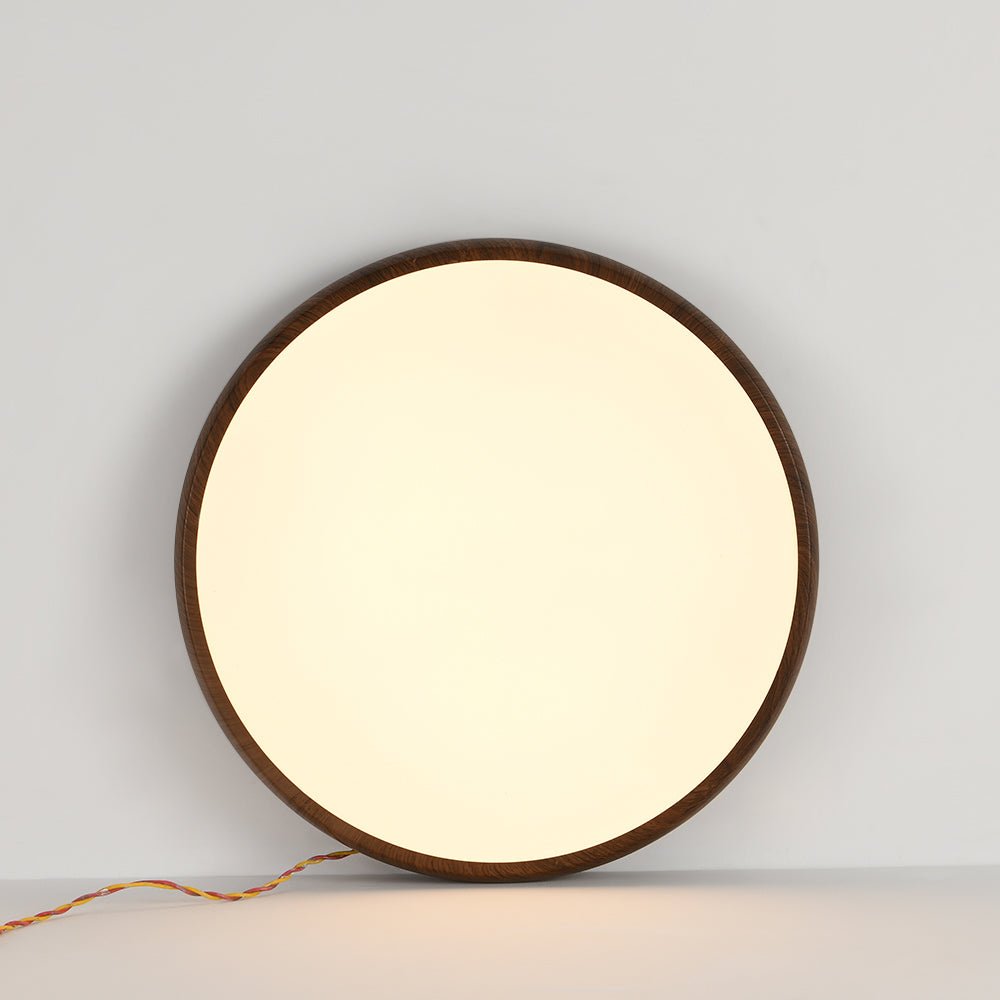 Modern Round LED Flush Mount Ceiling Light - LightfixturesUAE