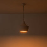 Modern Single Light Kitchen Island Wrought Iron Pendant - LightfixturesUAE