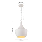 Modern Single Light Kitchen Island Wrought Iron Pendant - LightfixturesUAE