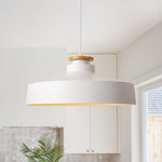 Nordic minimalism 1 - Light White Wooden - Color Iron Conical - Shaped Pendant Light - LightfixturesUAE