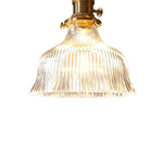 Vintage 1 - Light Striped Glass Flower - Shaped Pendant Light - LightfixturesUAE